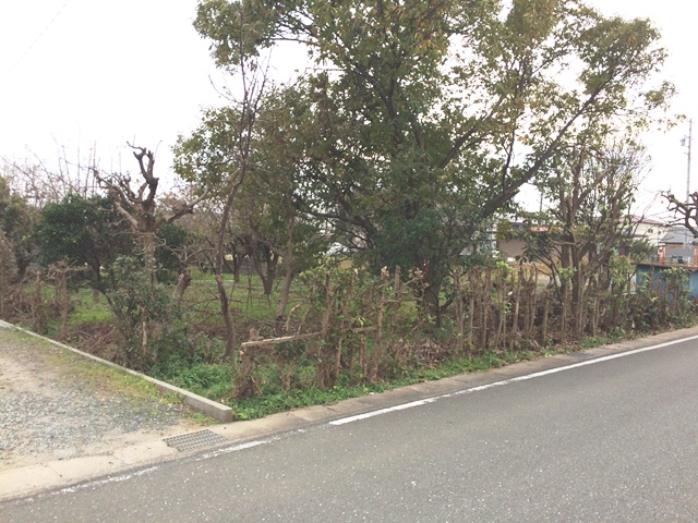 豊川市佐土町 画像4