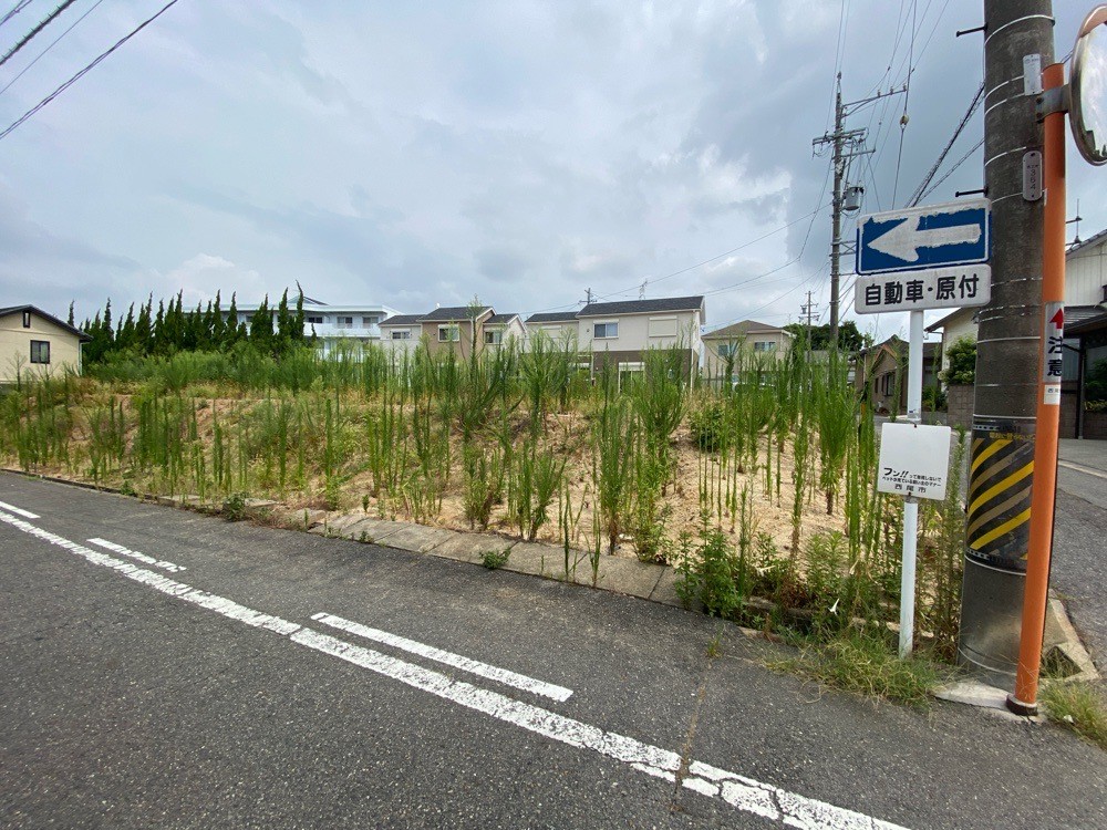 西尾市弥生町　全4区画　1号地 画像4